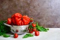 Ripe juicy tomatoes of different varieties, green fragrant basil on the table. Royalty Free Stock Photo