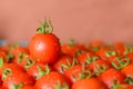 Ripe juicy tomatoes