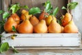 Ripe juicy yellow pears in a wooden box on a rustic background. Fruit garden harvesting concept. Royalty Free Stock Photo