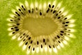 Ripe kiwi Royalty Free Stock Photo