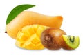 Ripe kiwi and mango fruits on a white isolated background Royalty Free Stock Photo