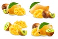 Ripe kiwi and mango fruits on a white isolated background Royalty Free Stock Photo