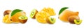 Ripe kiwi and mango fruits on a white isolated background Royalty Free Stock Photo