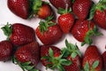 Ripe large juicy red strawberries. Royalty Free Stock Photo