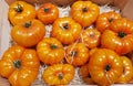 Ripe large orange tomatoes collected from a home garden and stacked in a tray