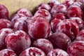 Ripe large plums in a wooden box close-up Royalty Free Stock Photo