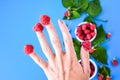 Ripe large raspberries are dressed on the fingers of the hands. Like funny hats