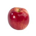 Ripe large red apple on white isolated