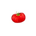 Ripe large red tomato on a white background isolated fresh crop, vegetarian food. Royalty Free Stock Photo