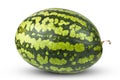 Ripe, large watermelon close-up on a white background Royalty Free Stock Photo