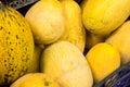 Ripe large yellow melons Royalty Free Stock Photo