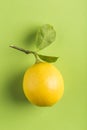 Ripe lemon with a branch and leaves on a green background close-up