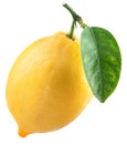 Ripe lemon fruit with lemon leaf. File contains clipping path Royalty Free Stock Photo