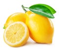 Ripe lemon fruits with leaf isolated on white background Royalty Free Stock Photo