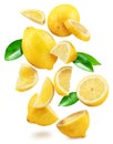 Ripe lemon fruits, slices and leaves flying in air white background. File contains clipping paths Royalty Free Stock Photo