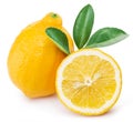 Ripe lemon fruits on a white background.