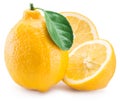 Ripe lemon fruits on a white background. Royalty Free Stock Photo