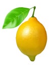 Ripe lemon with leaf and water drops. Vector illustration
