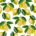 Ripe lemons Watercolor set. Citrus pattern on white background.