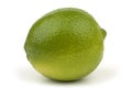 Ripe Lime.
