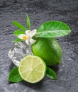 Ripe lime fruits on the gray background Royalty Free Stock Photo