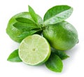 Ripe lime fruits with a half of lime. Royalty Free Stock Photo