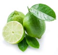 Ripe lime fruits. Royalty Free Stock Photo