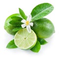 Ripe lime fruits. Royalty Free Stock Photo