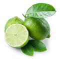 Ripe lime fruits on the white. Royalty Free Stock Photo