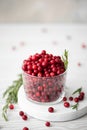 ripe lingonberries in a glass bowl