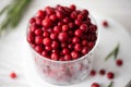 ripe lingonberries in a glass bowl