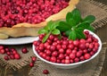 Ripe lingonberry in bowl