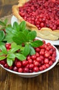 Ripe lingonberry in bowl