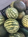 Ripe little watermelons on the market