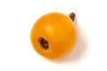 Ripe loquat or Eriobotrya japonica isolated on white background Royalty Free Stock Photo