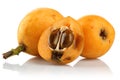 Ripe Loquat fruit or Japanese Plum