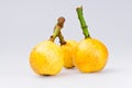 Ripe Loquat Fruits Royalty Free Stock Photo