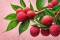 Fresh ripe bright pink lychee fruits hang on a branch with green leaves on a pink background. Juicy berries. Banner