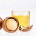 Ripe macadamia nuts and glass bowl with natural oil - Macadamia integrifolia