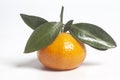 Ripe mandarin with green leaves Royalty Free Stock Photo