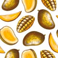 Ripe mango background. Tropical fruit seamless pattern in color. Hand drawn vector illustration. Exotic plant with fruit sketches Royalty Free Stock Photo