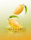 Ripe mango drop on juice splash and ripple, Realistic Fruit and yogurt, transparent, vector illustration Royalty Free Stock Photo