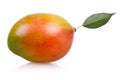 Ripe mango fruit isolated