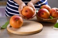 Ripe Mango fruit (Tommy Atkins) with woman hand prepare for cooking