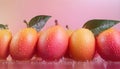 Ripe mango fruits in water drops on the leaves. Studio light Royalty Free Stock Photo