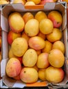 Ripe mango at local market Royalty Free Stock Photo