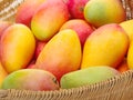 Ripe mango pile in the market