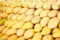 Ripe mango on the thai market Royalty Free Stock Photo