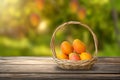 Ripe mango tropical fruit in basket put on wooden table Royalty Free Stock Photo