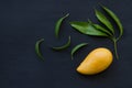 Ripe mango fruit with green leaf on black background Royalty Free Stock Photo